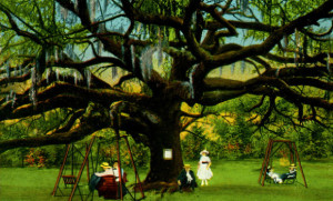 Live Oak vintage postcard 580x350