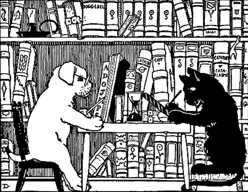 cat_and_dog_in_library_WEB