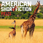 Now Open: American Short(er) Fiction Prize